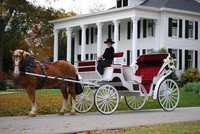 Highlight for Album: Home Page Slideshow